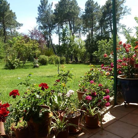 Villa Domaine Du Planas - Patio Ailhon Esterno foto